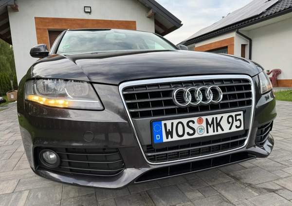 Audi A4 cena 24900 przebieg: 222534, rok produkcji 2008 z Otmuchów małe 781